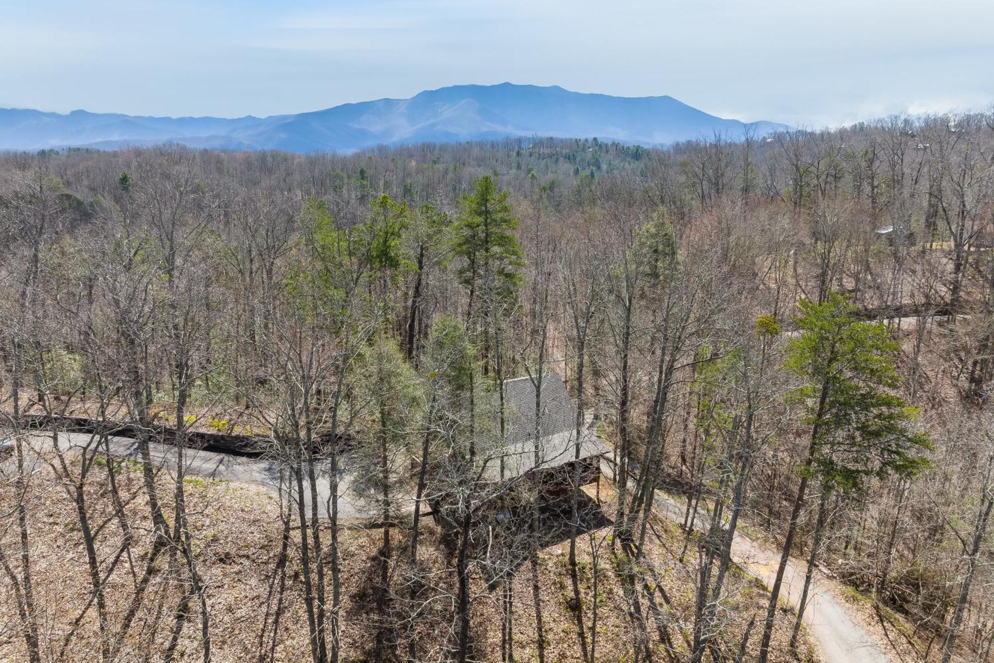 Dudley I By Avantstay Cosy Cabin W Hot Tub Incredible Views Pigeon Forge Exteriör bild